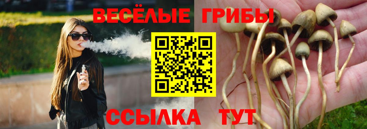 Ижевск  Галлюциногенные грибы прущие грибы  Вход с VPN  Псилоцибиновые грибы Magic Shrooms 